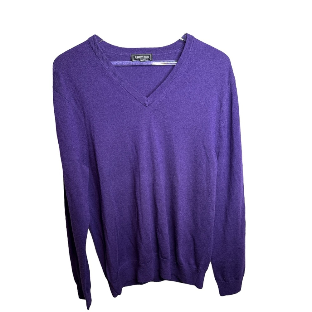 Express Mens Purple V-Neck Sweater